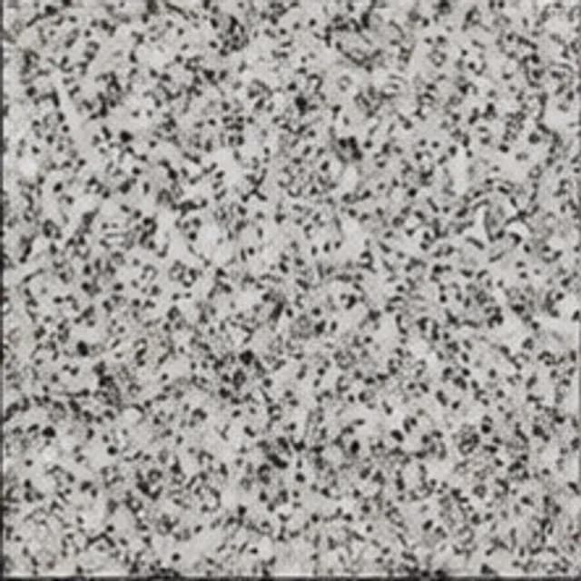 Sira Grey memorial stone texture